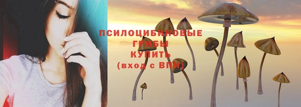 мяу мяу мука Аркадак