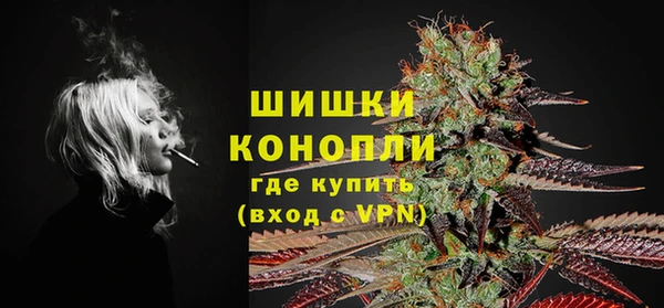 дурь Рославль