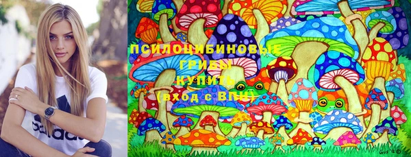 дурь Арсеньев